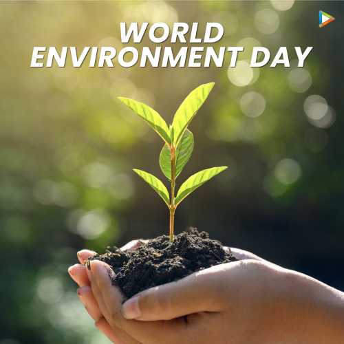 World Environment Day Songs Playlist: Listen Best World Environment Day ...